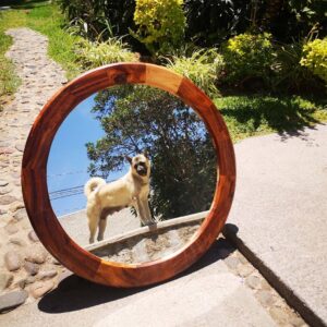 IMG_20210412_091154_654